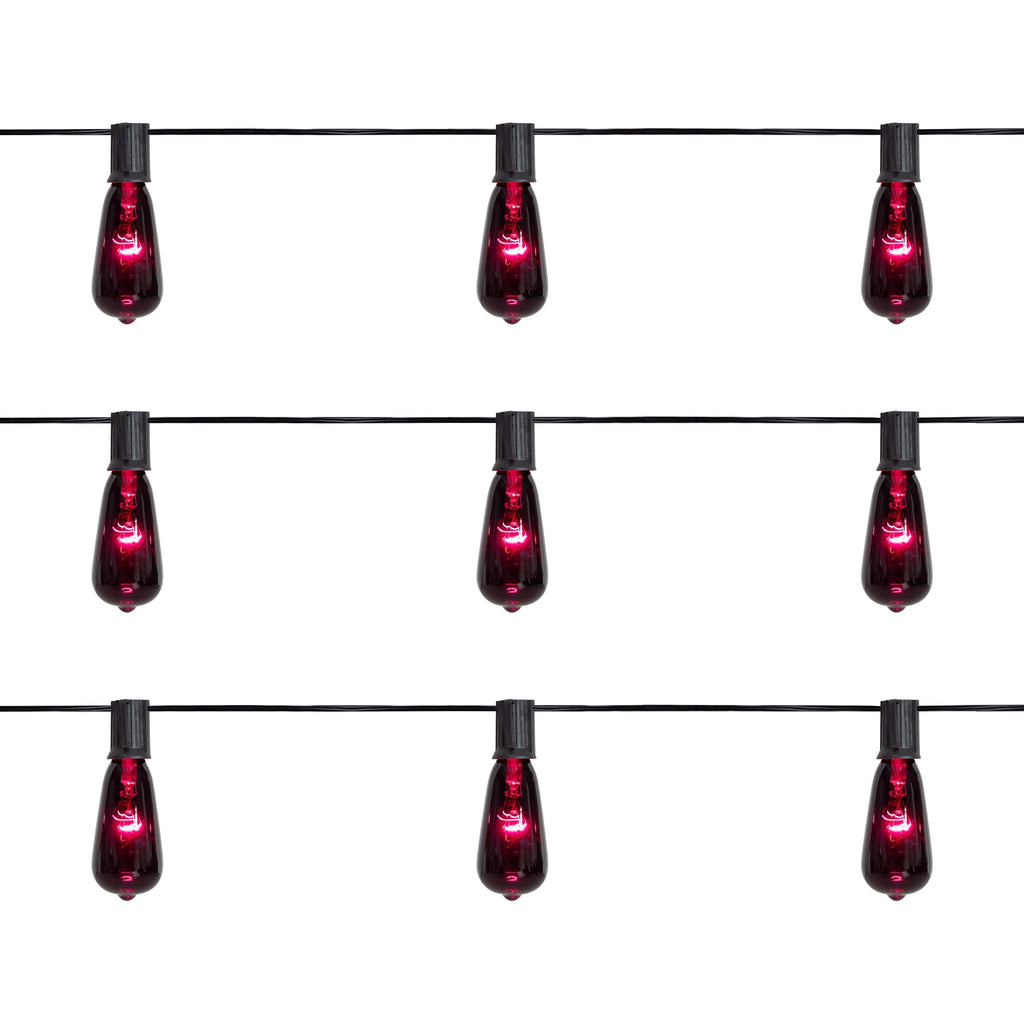Northlight Edison Style Halloween Lights - Purple - 9' Black Wire - 10ct