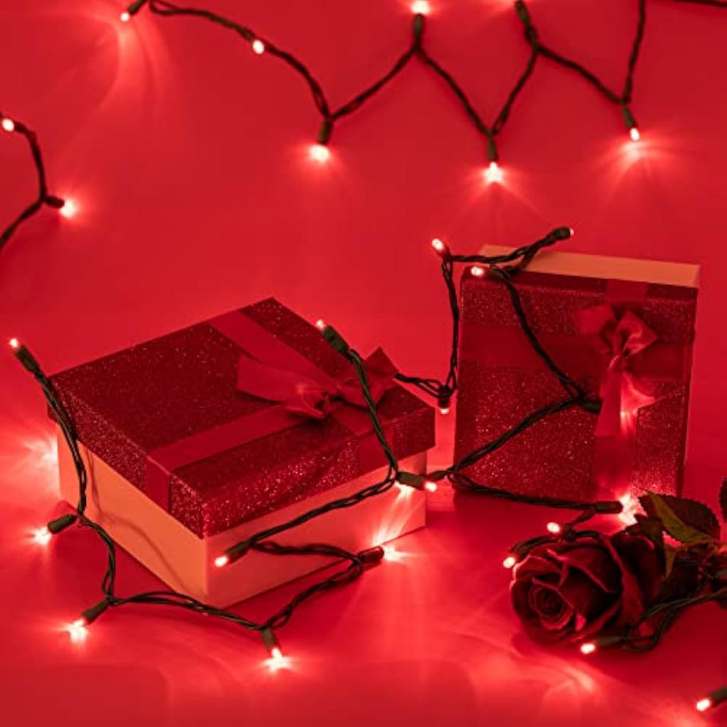 Wick's Outdoor Living LED 5MM Orange Holiday Lights, 24 FT in length, 70 CT, and 6 different color options