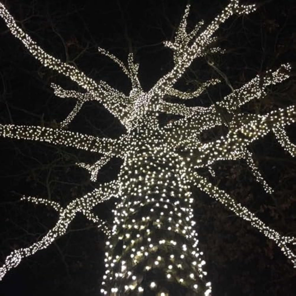 Wick's Outdoor Living LED 5MM Multi-Color Holiday Lights, 50 FT in length, 150 CT, and 6 different color options