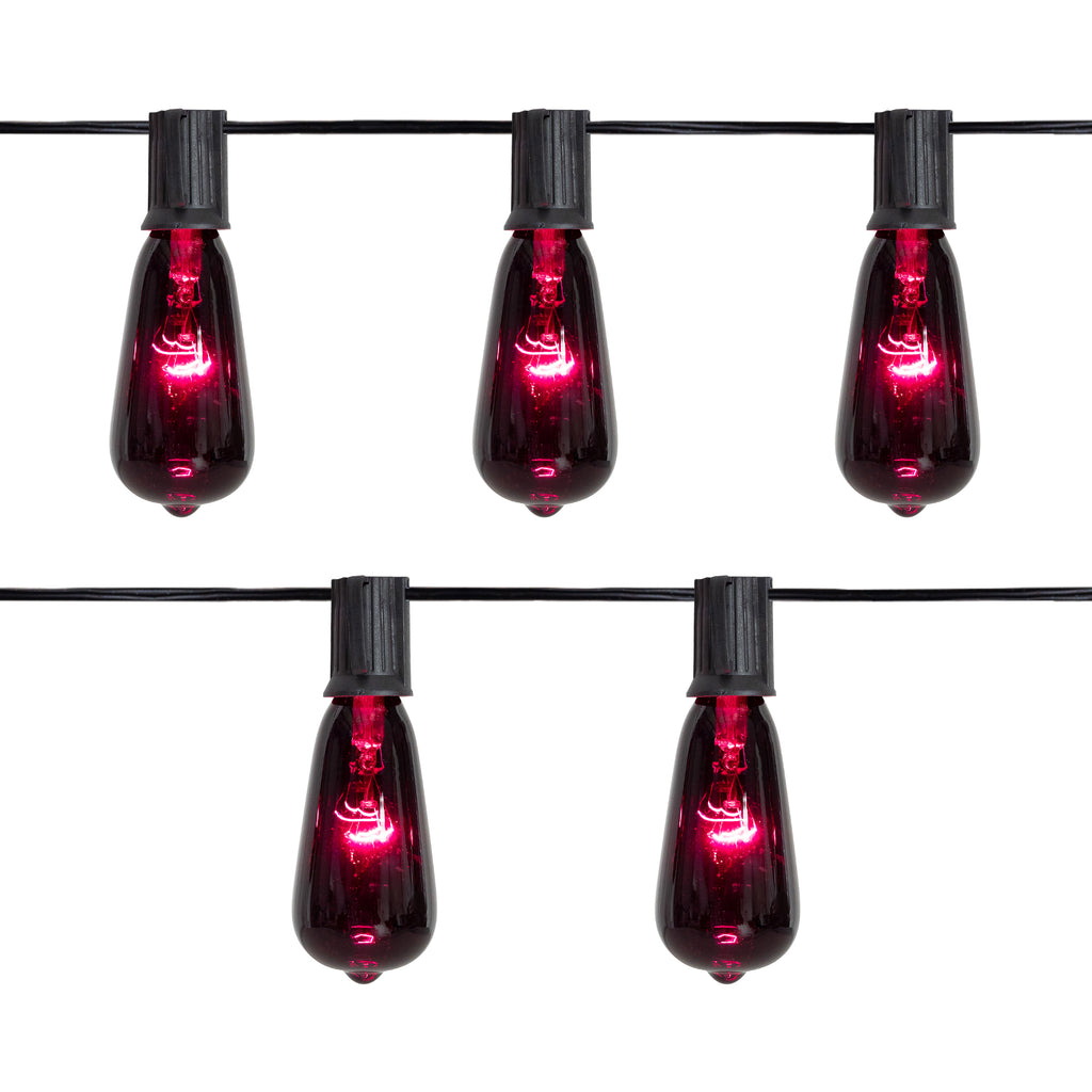 Northlight Edison Style Halloween Lights - Purple - 9' Black Wire - 10ct