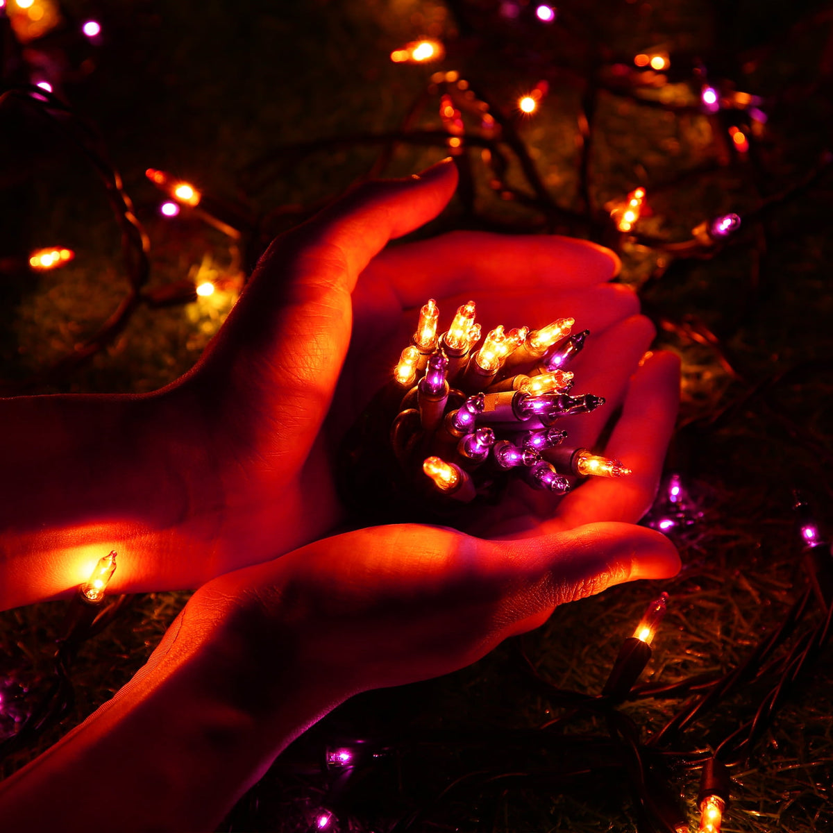 Toodour Orange & Purple Halloween Lights, 25ft 100 Count Incandescent Halloween String Lights, UL Certified Connectable Mini Bulbs Halloween Lights for Indoor, Outdoor, Garden, Porch, Halloween Decor